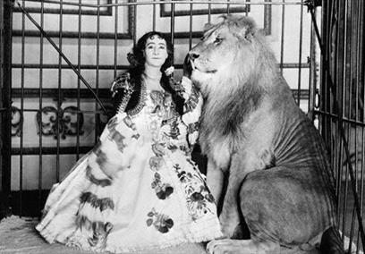 Bedminster Blood and Butchery Walking Tour - Visit Bristol Show of Strength