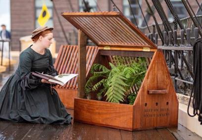 A victorian Wardian case on the deck of the SS Great Britain