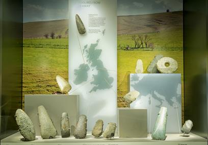 Neolithic Axe Display