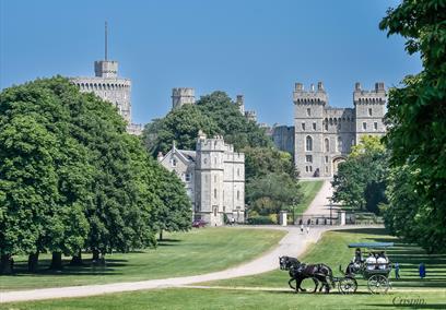 Windsor Carriages