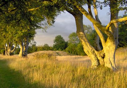 Stonehenge Landscape