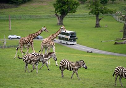 Longleat - Travel Trade
