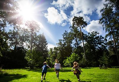 Tree Champion Family Events at Westonbirt Arboretum

