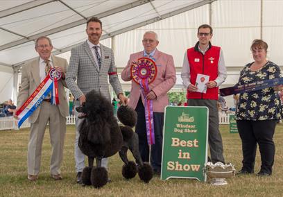 Windsor Championship Dog Show Best in Show. Image courtesy ShowdogMedia: www.showdogmedia.co.uk