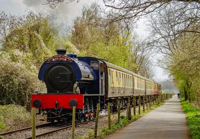 A blue engine can be seen chugging alongside the cycle path, surrounded by trees.