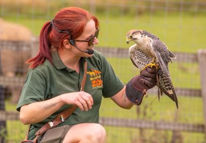 Noahs Ark Zoo Farm Keeper