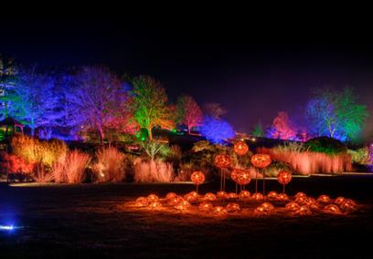 RHS Garden Wisley Glow 2025