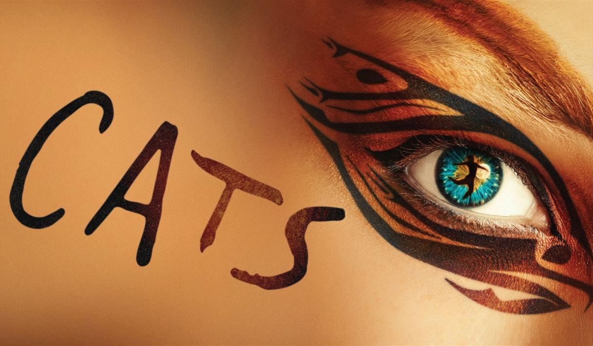 Cats the musical