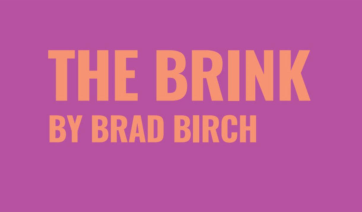 The Brink by Brad Birch written in pink on a magenta background