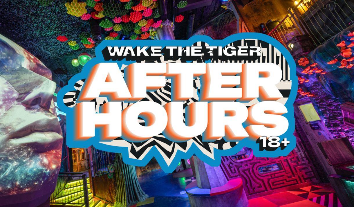Wake The Tiger After Hours poster 18+