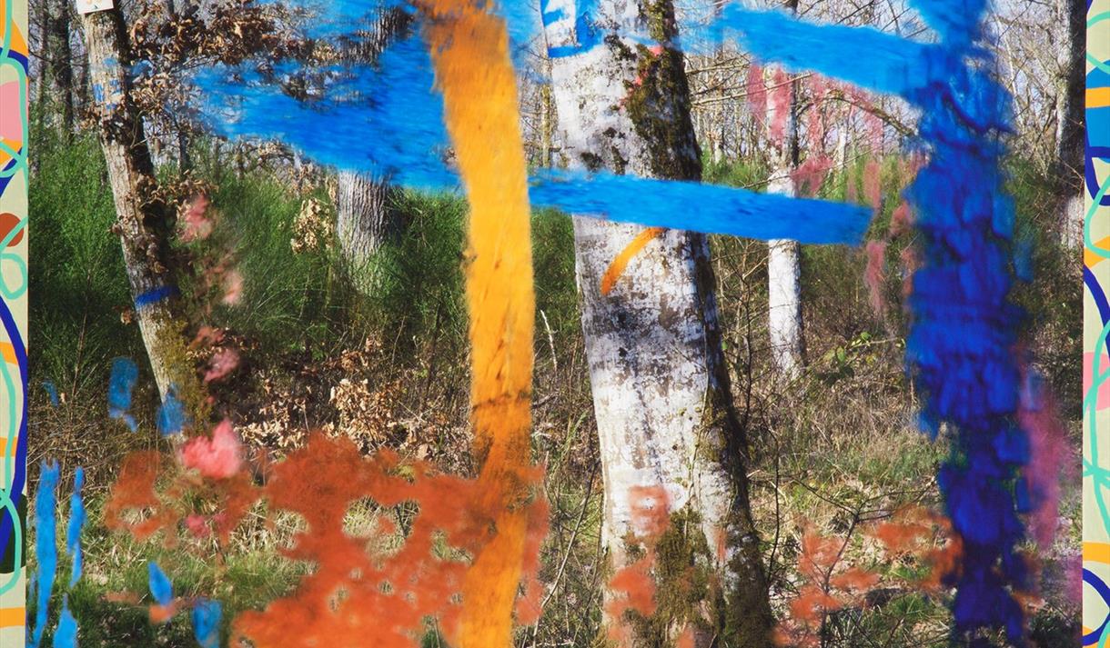 Bristol Photo Festival: RWA Photography Open Exhibition with RWA
