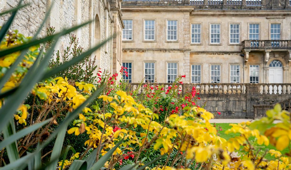 yellow leaves in front of old building