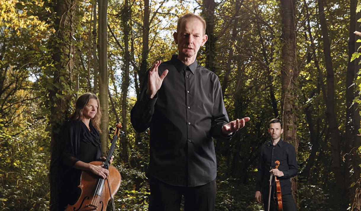 The Devil's Violin group in a forest