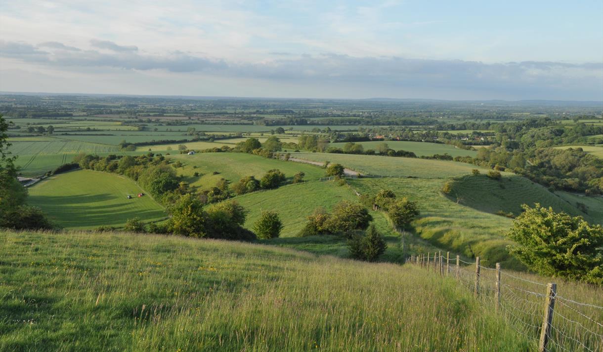 Rolling fields