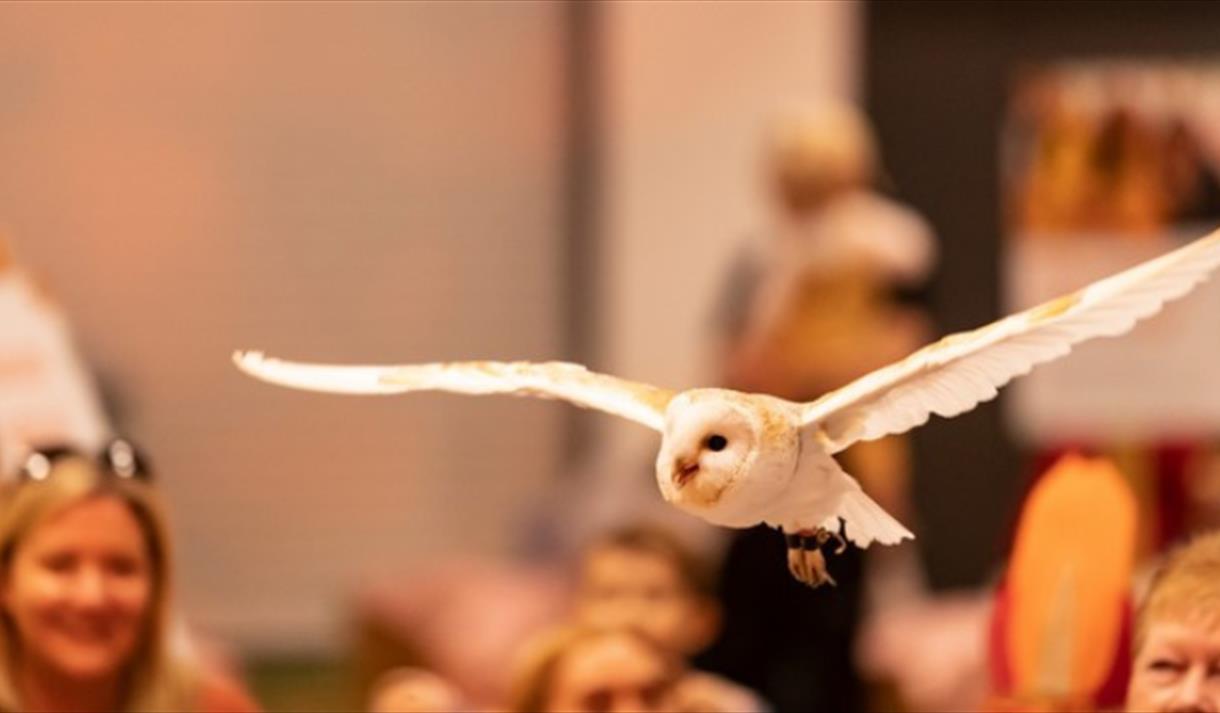 Winter Wildlife Week at Longleat