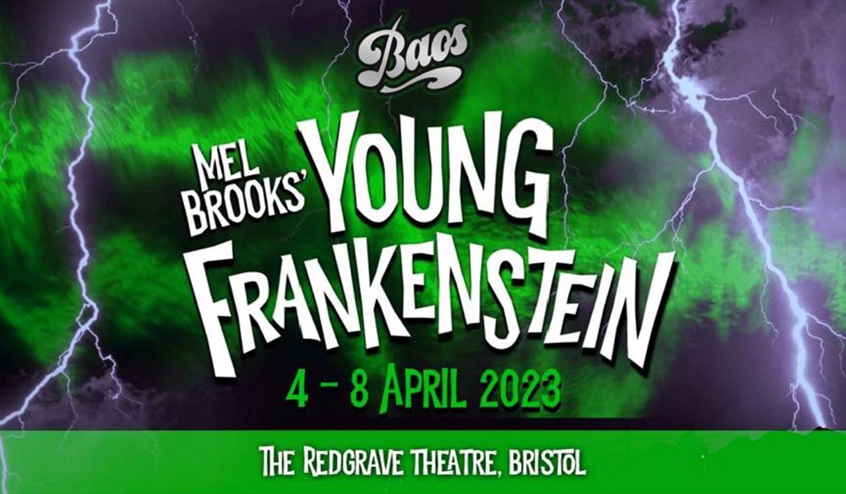 Young Frankenstein poster