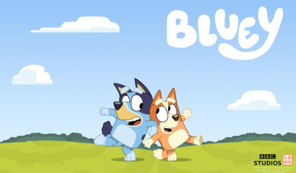 Bluey & Bingo at Avon Valley poster
