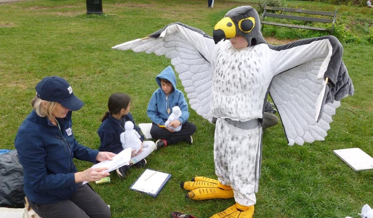 Children enjoying learning about peregrines