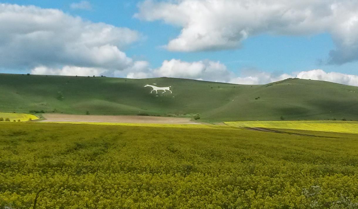 alton barnes white horse