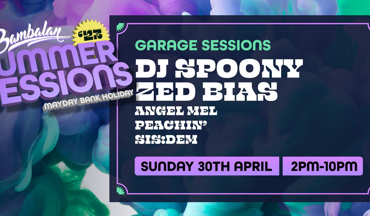 DJ Spoony and Zed Bias
