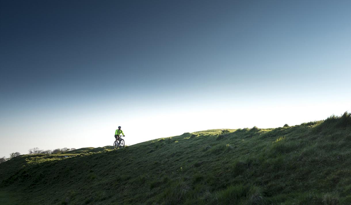 Mountain Biking