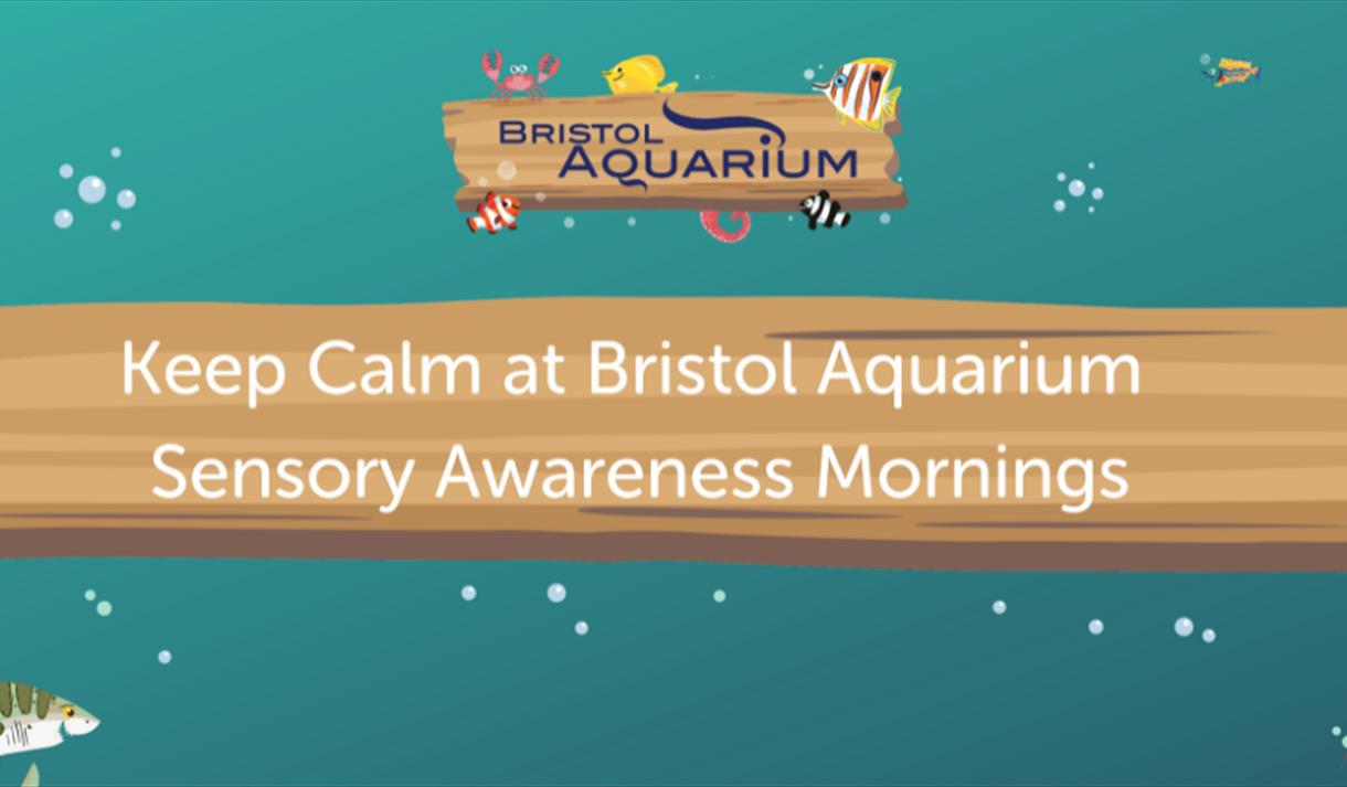 Keep Calm at Bristol Aquarium: Sensory Awareness Mornings poster