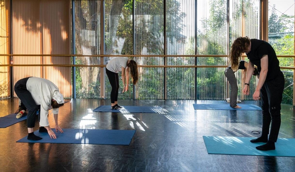 People doing yoga in a conservatory 
