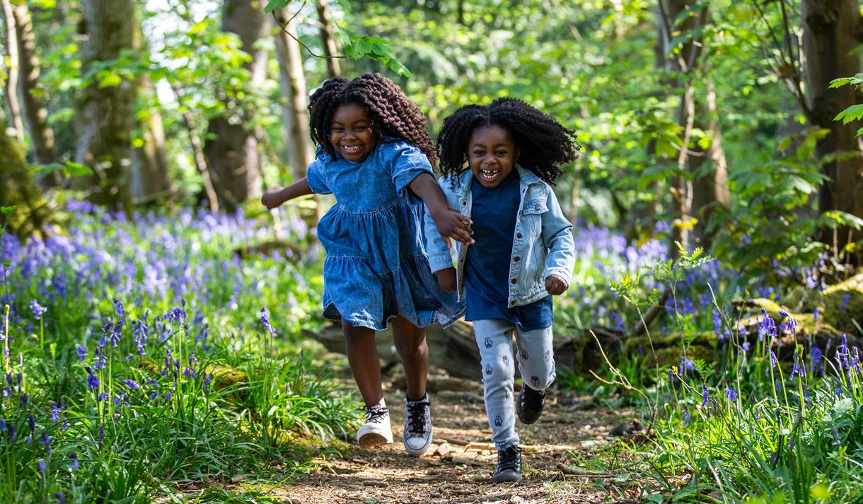 Children running among trees