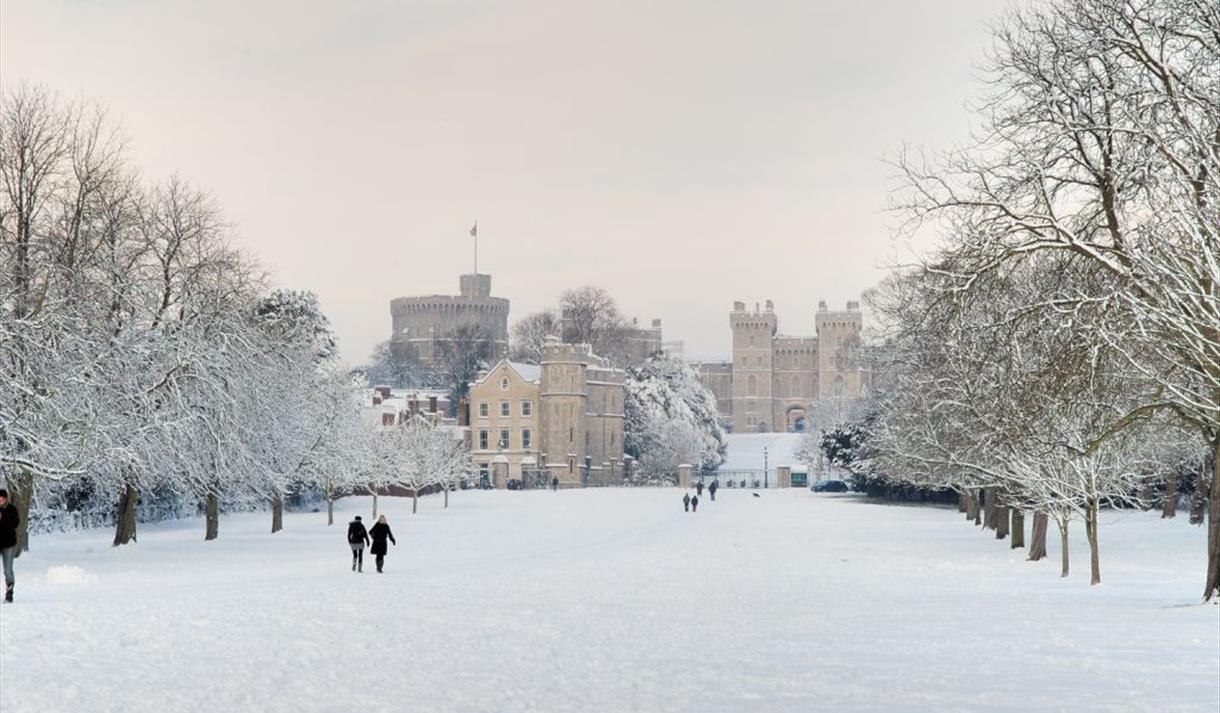 Christmas at Windsor Castle - Visit Windsor