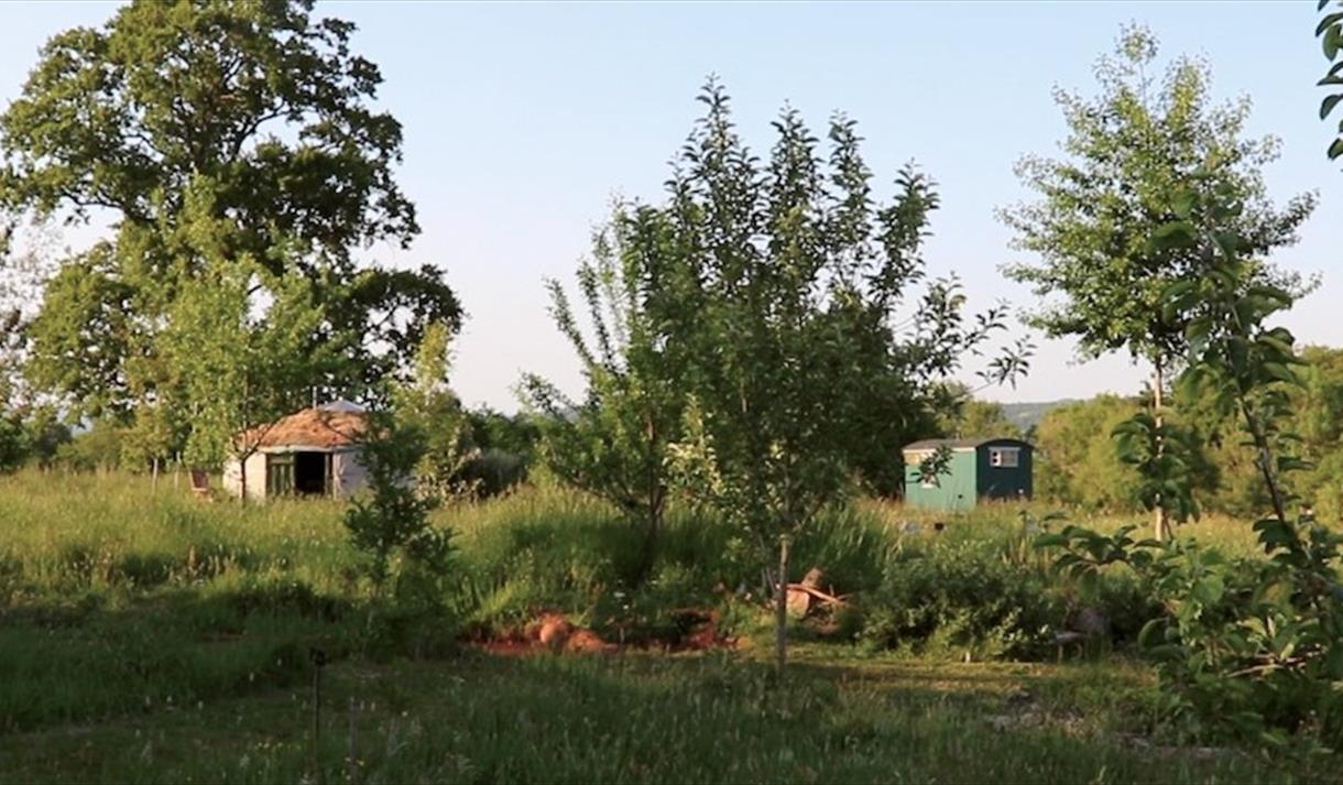 Garden allotment at Grow Wilder