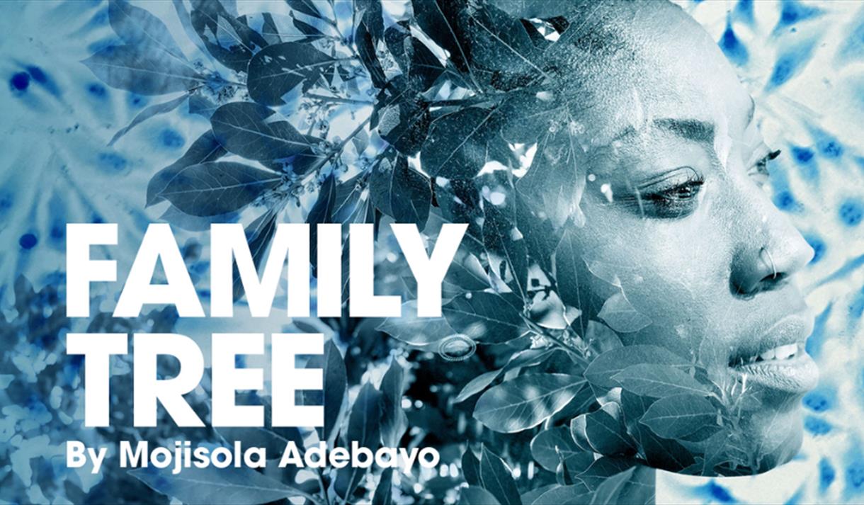 Family Tree