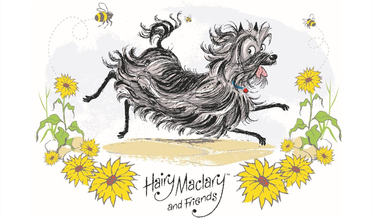 Hairy Maclary's Adventures with WEYO