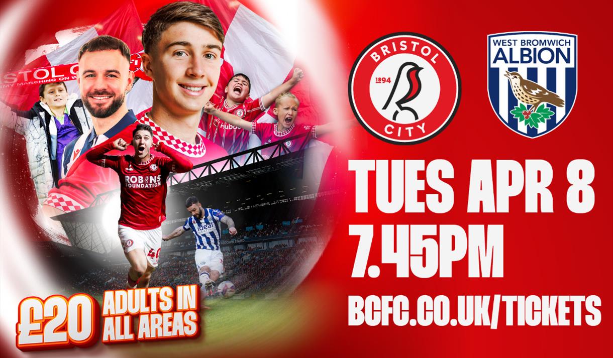 Bristol City vs West Bromwich Albion at Ashton Gate Stadium