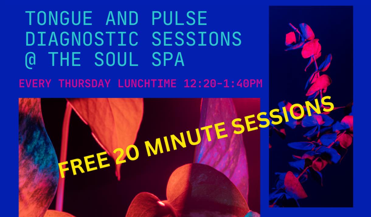 Tongue and Pulse Diagnostic Sessions