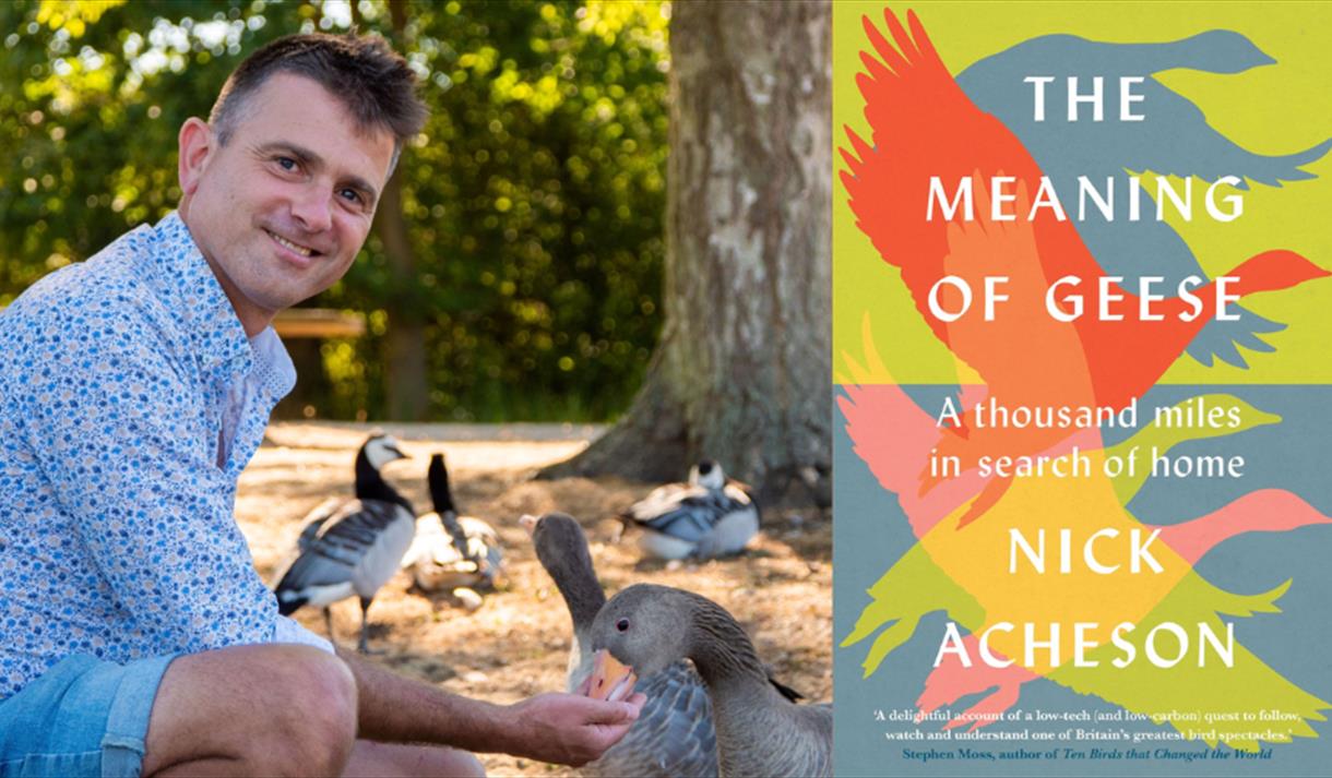 Nick Acheson with a flock of geese on the left hand side and the front cover of his new book on the right hand side
