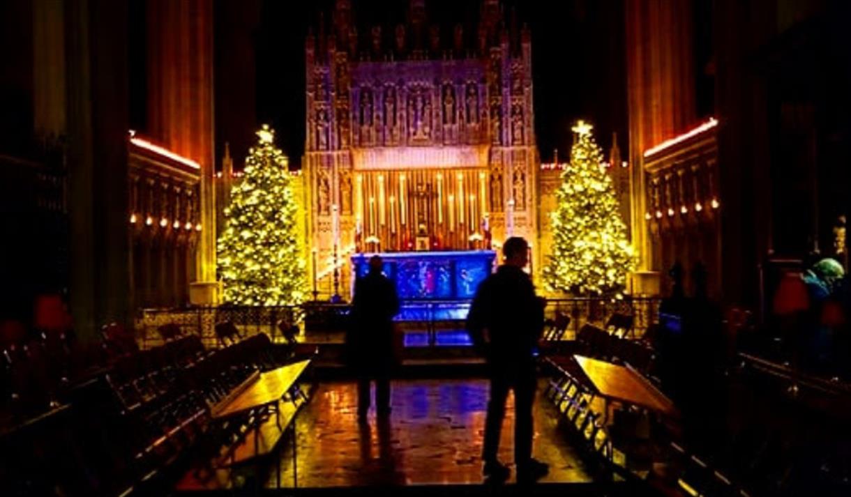 Two Christmas Trees lit up