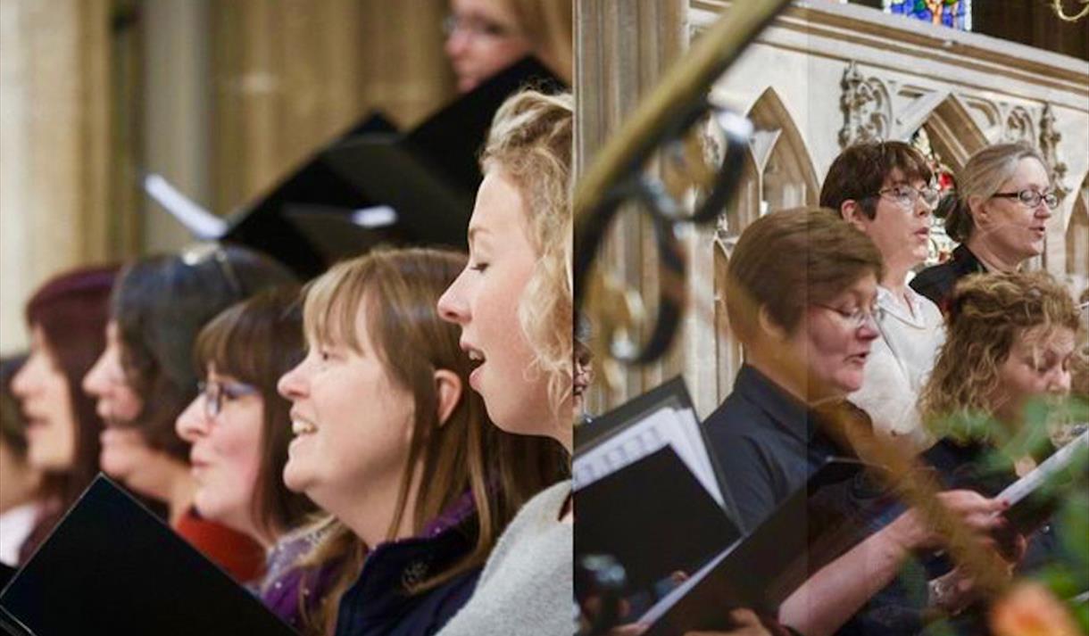 The Harlequin Singers