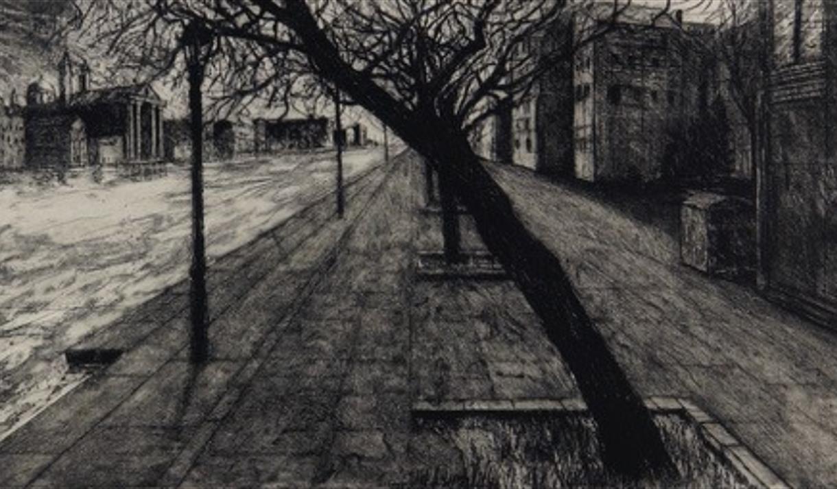 A black and grey charcol drawing on a tree