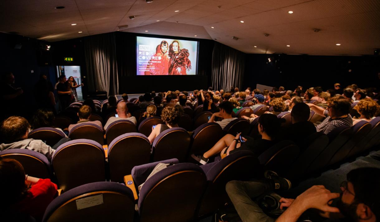 People sat in a cinema