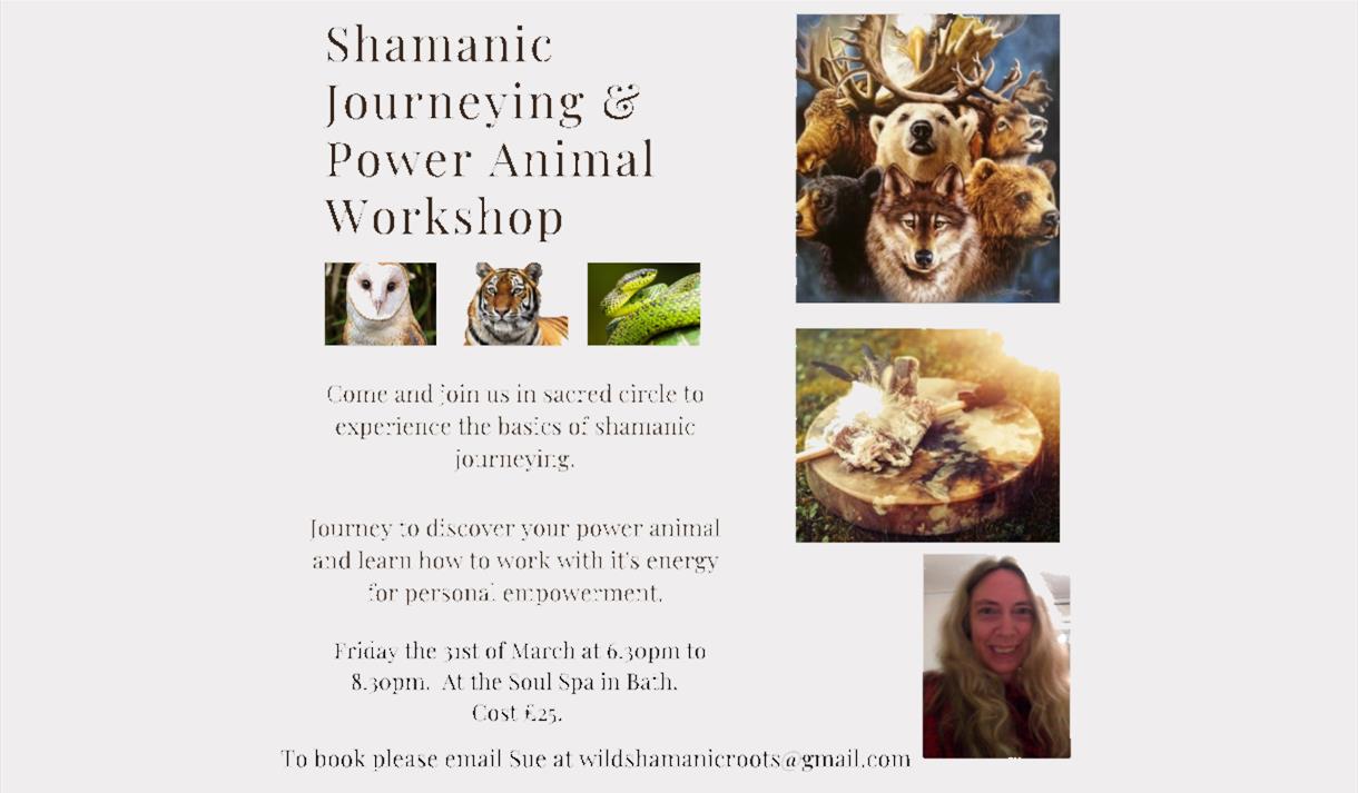 Shamanic Journeying & Power Animal Workshop
