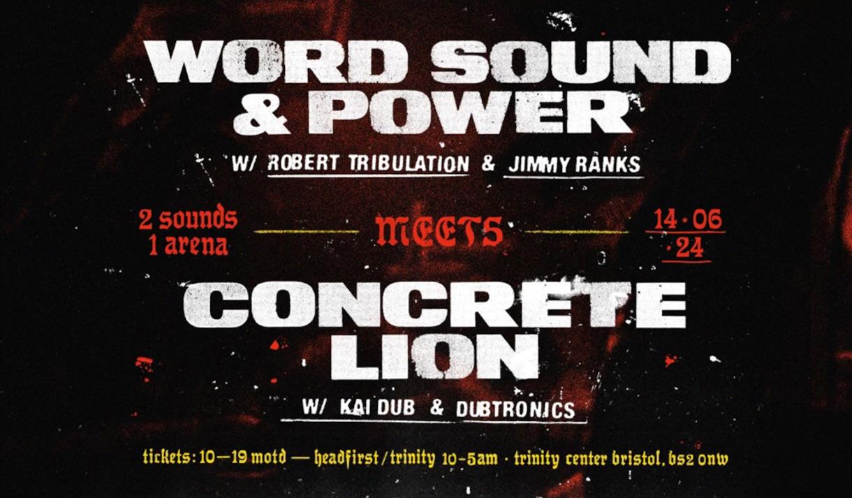 World Sound and Power meets Concrete Lion