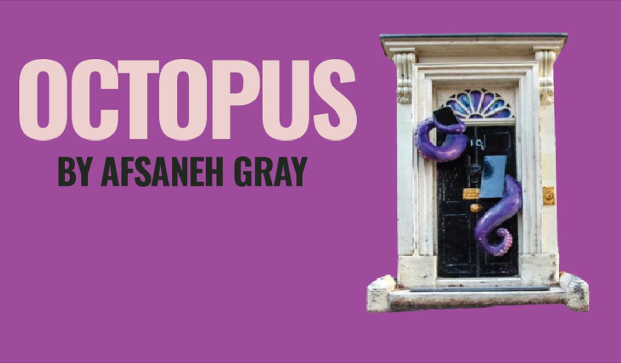 Octopus by Afsaneh Gray at The Wardrobe Theatre poster