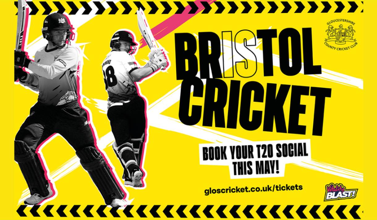 Bristol Cricket