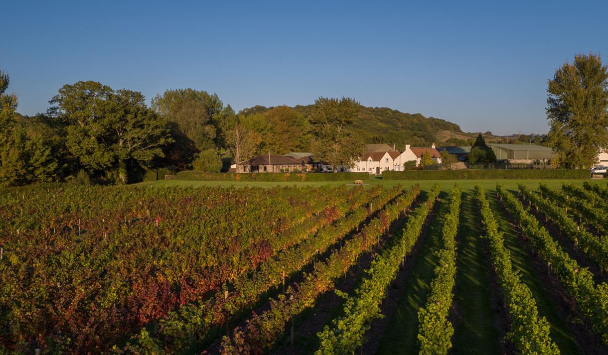 Aldwick Court farm and vineyard