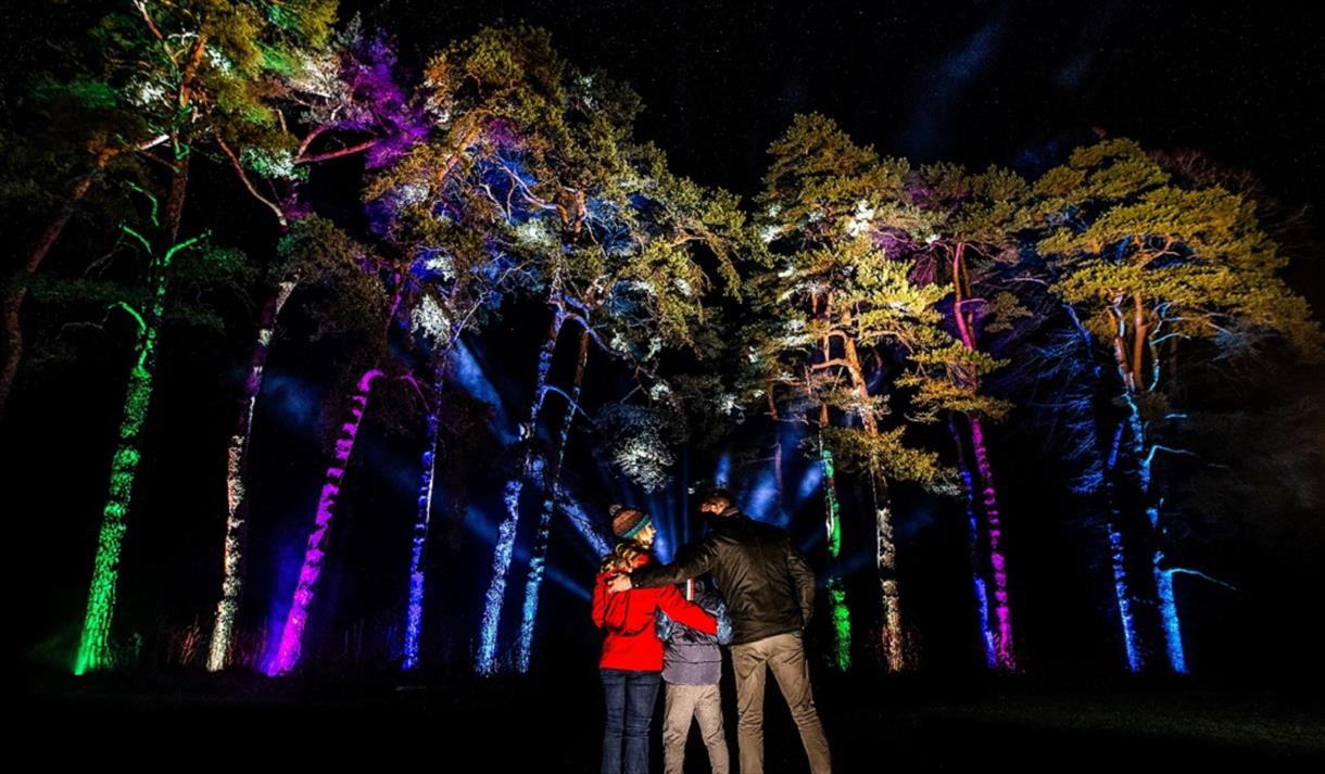 Enchanted Christmas at Westonbirt Arboretum
