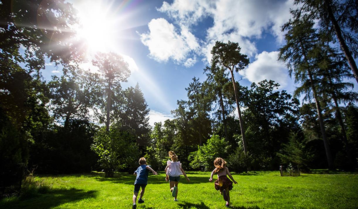 Tree Champion Family Events at Westonbirt Arboretum
