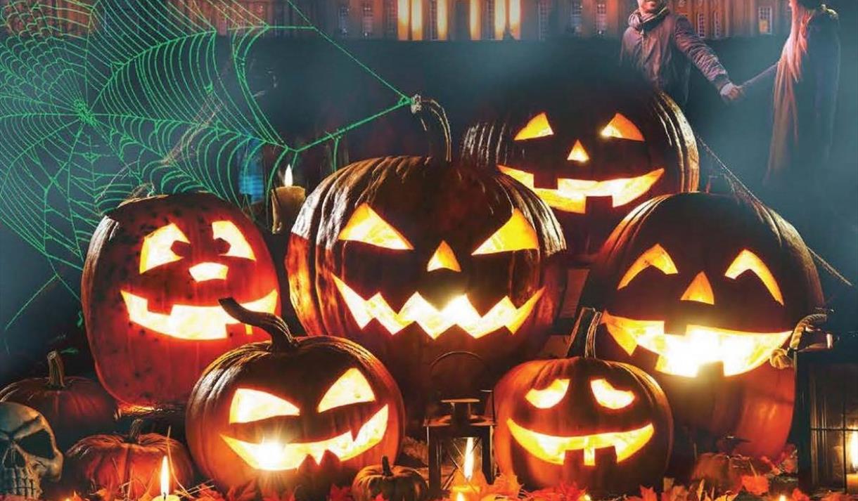 pile of pumpkins