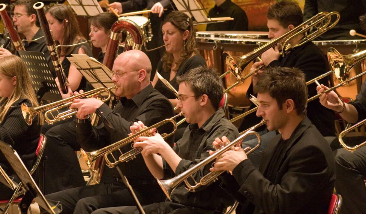 Amadeus Orchestra