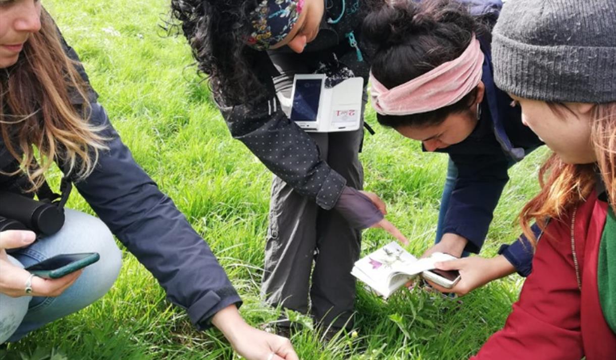 West of England City Nature Challenge
