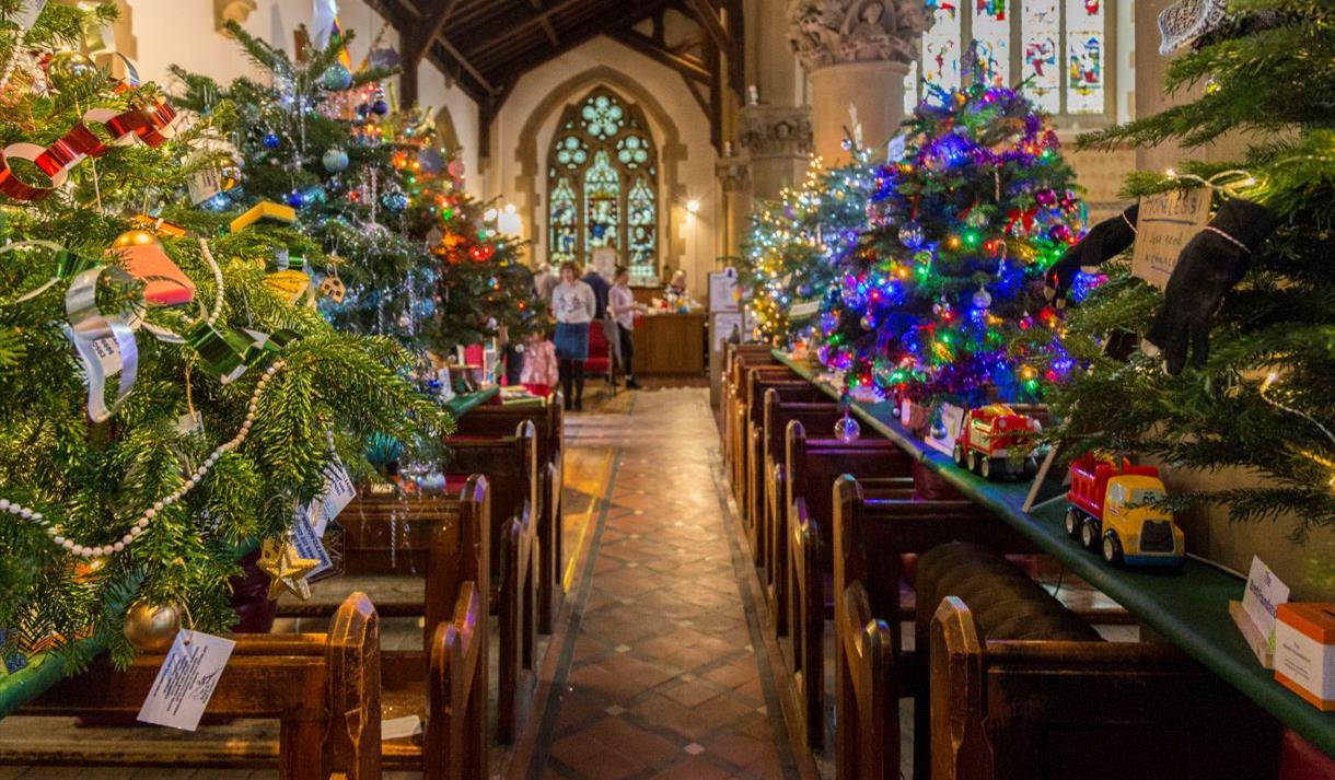 Christmas Tree Festival